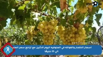 أسعار الخضار والفواكه في المنوفية اليوم الإثنين مع تراجع سعر العنب إلى 25 جنيهًا